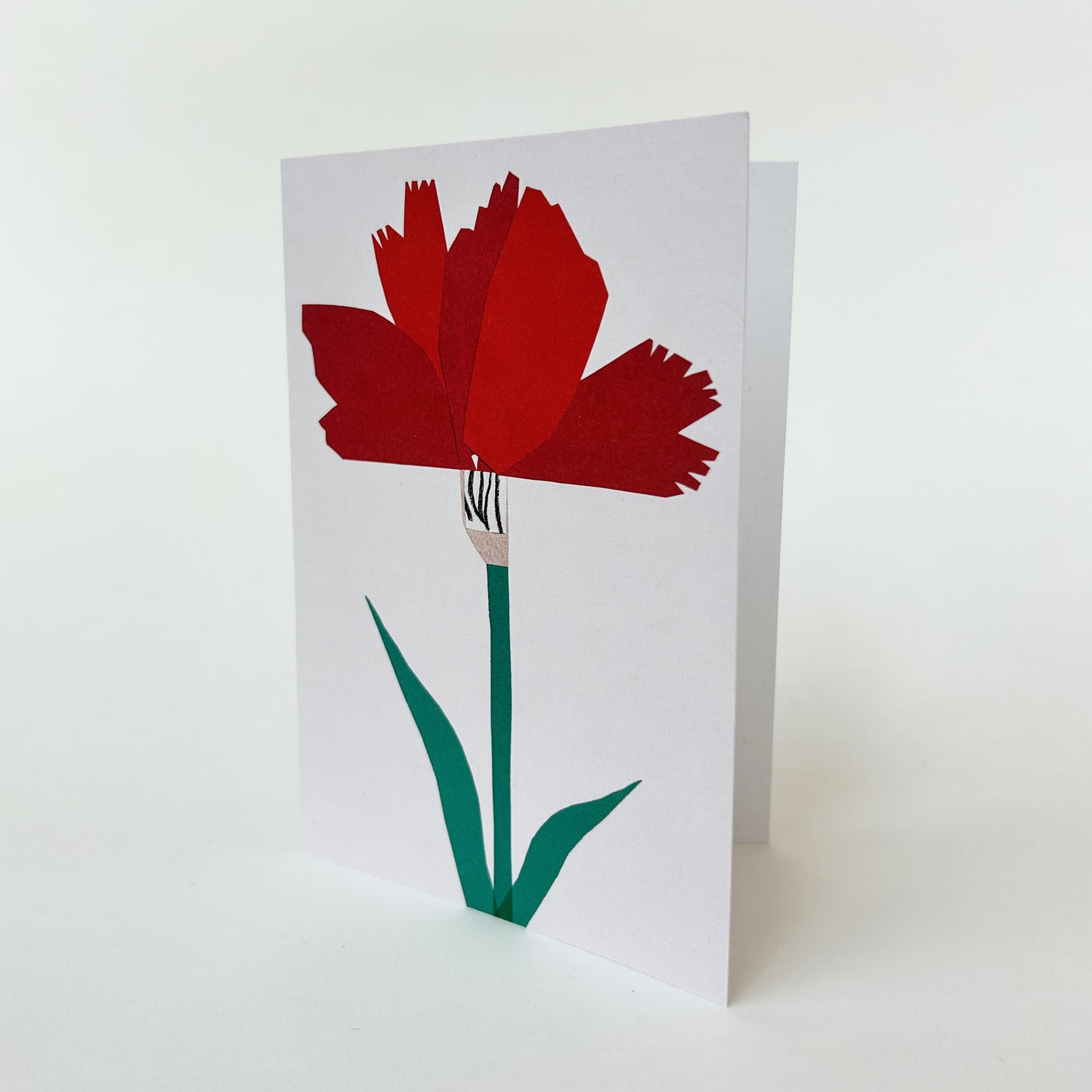 Carnation Greetings Card