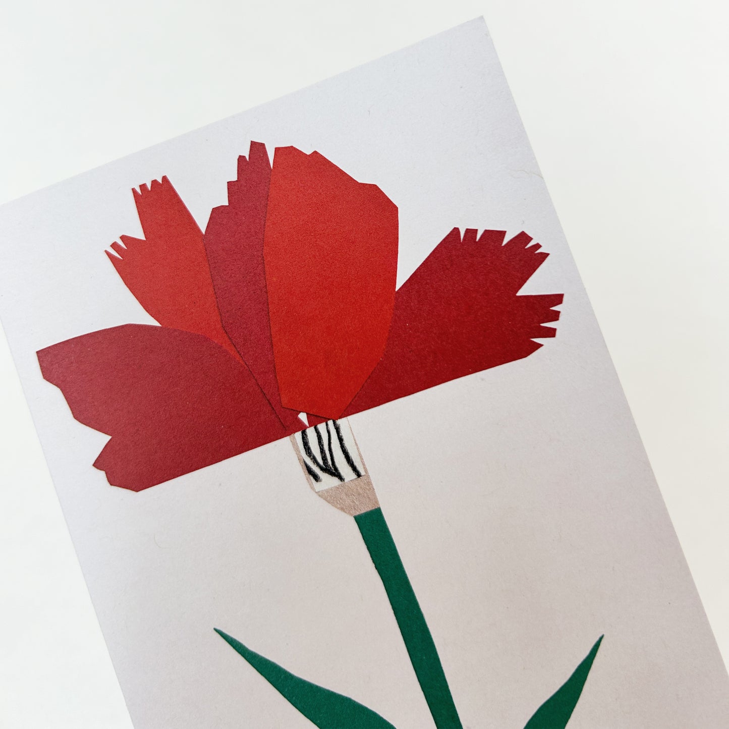 Carnation Greetings Card