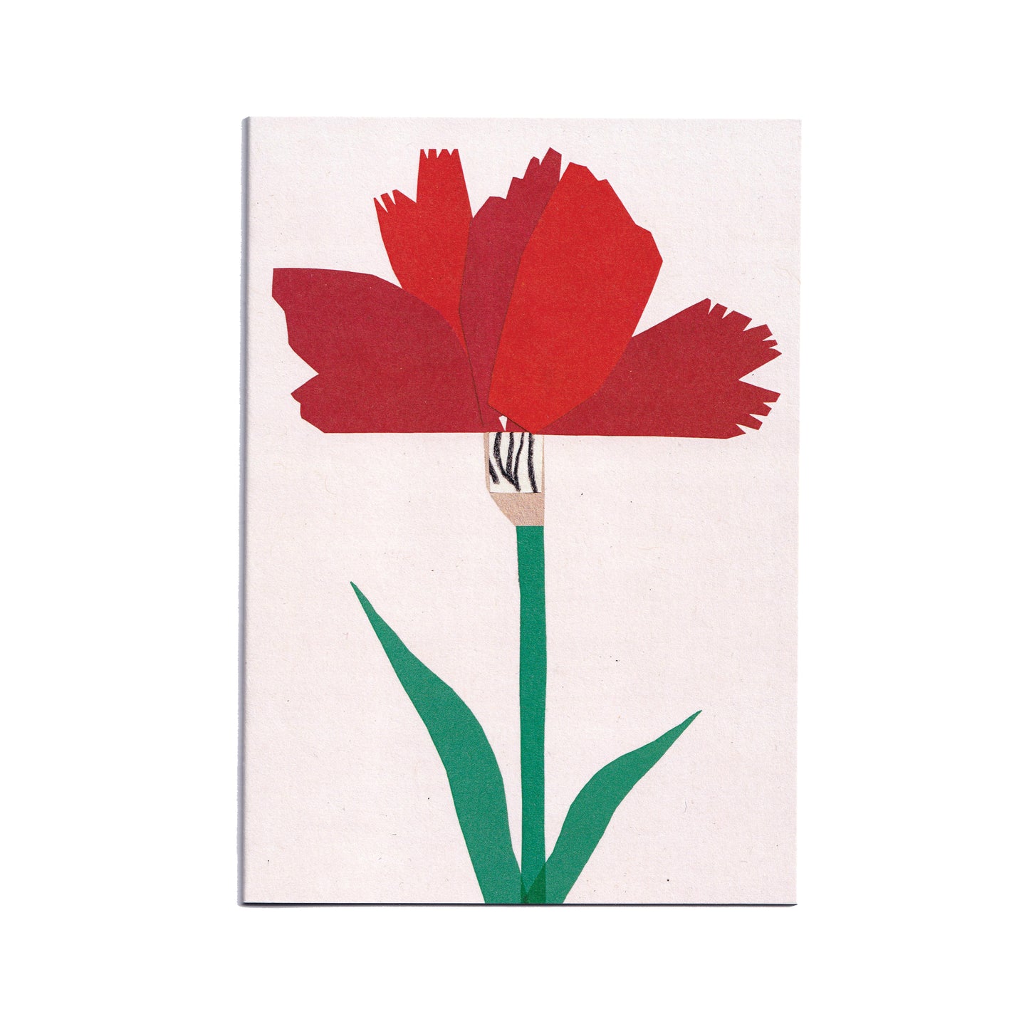 Carnation Greetings Card