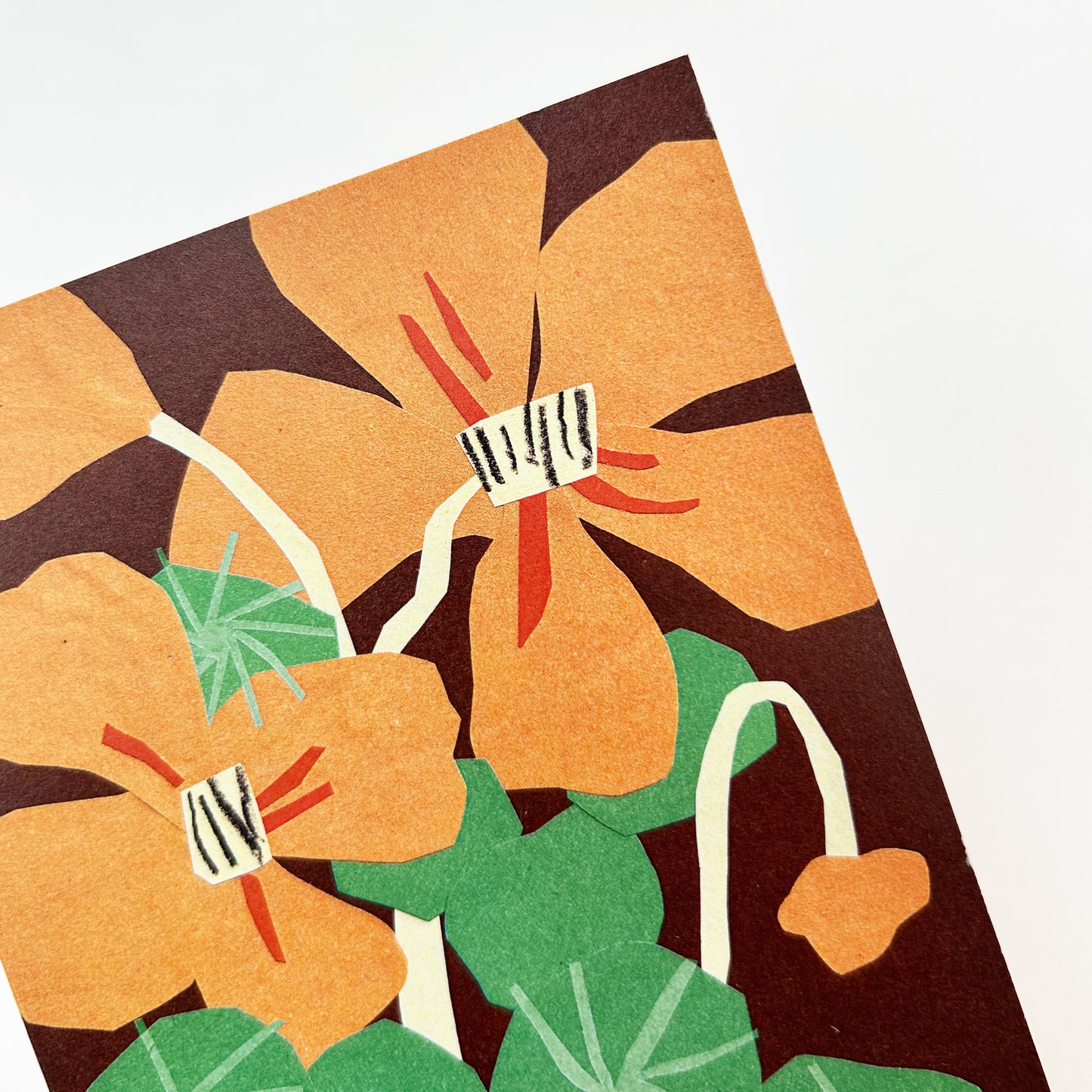 Nasturtiums Greetings Card