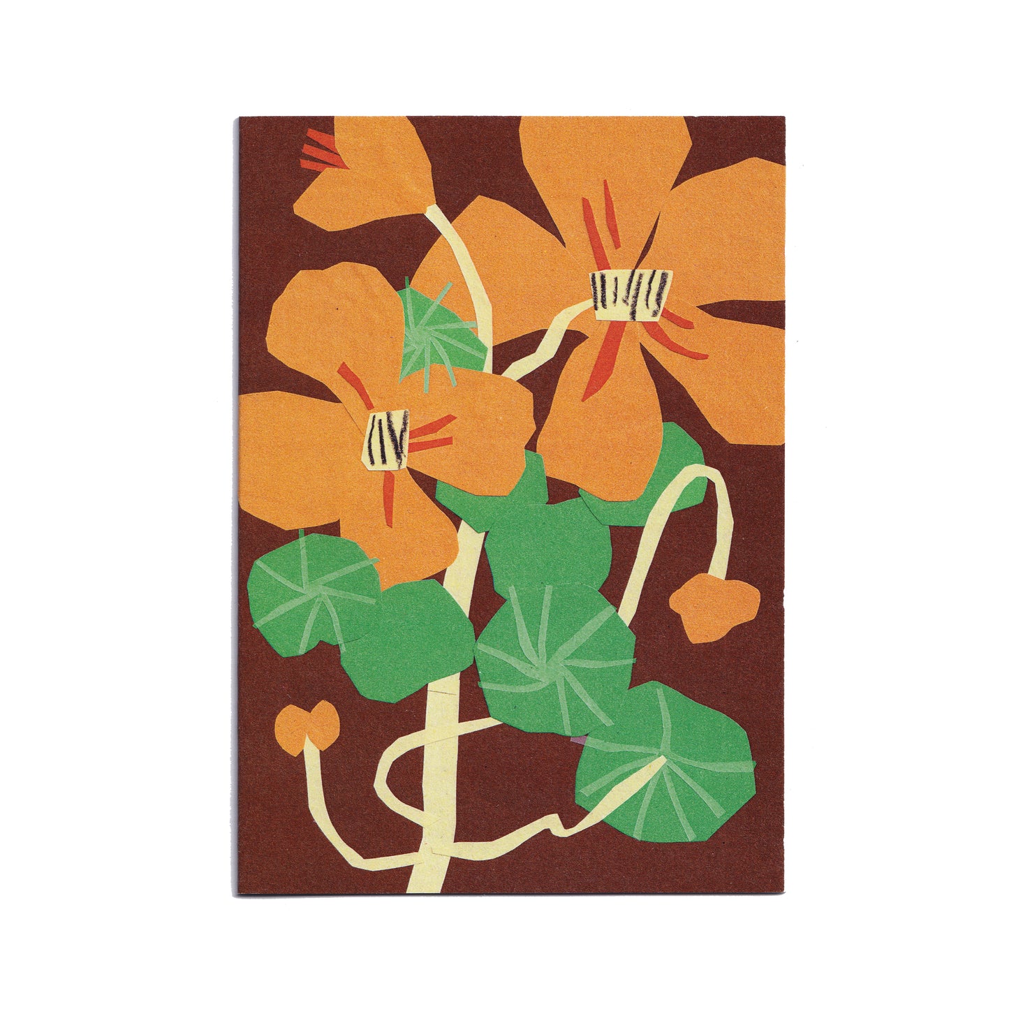 Nasturtiums Greetings Card